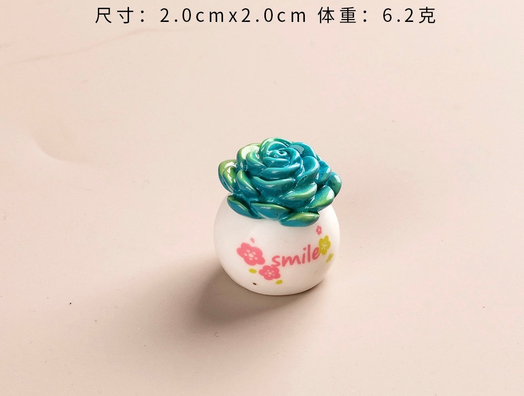 多肉植物の鉢植え