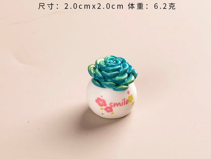 多肉植物の鉢植え