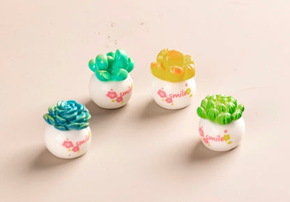 多肉植物の鉢植え