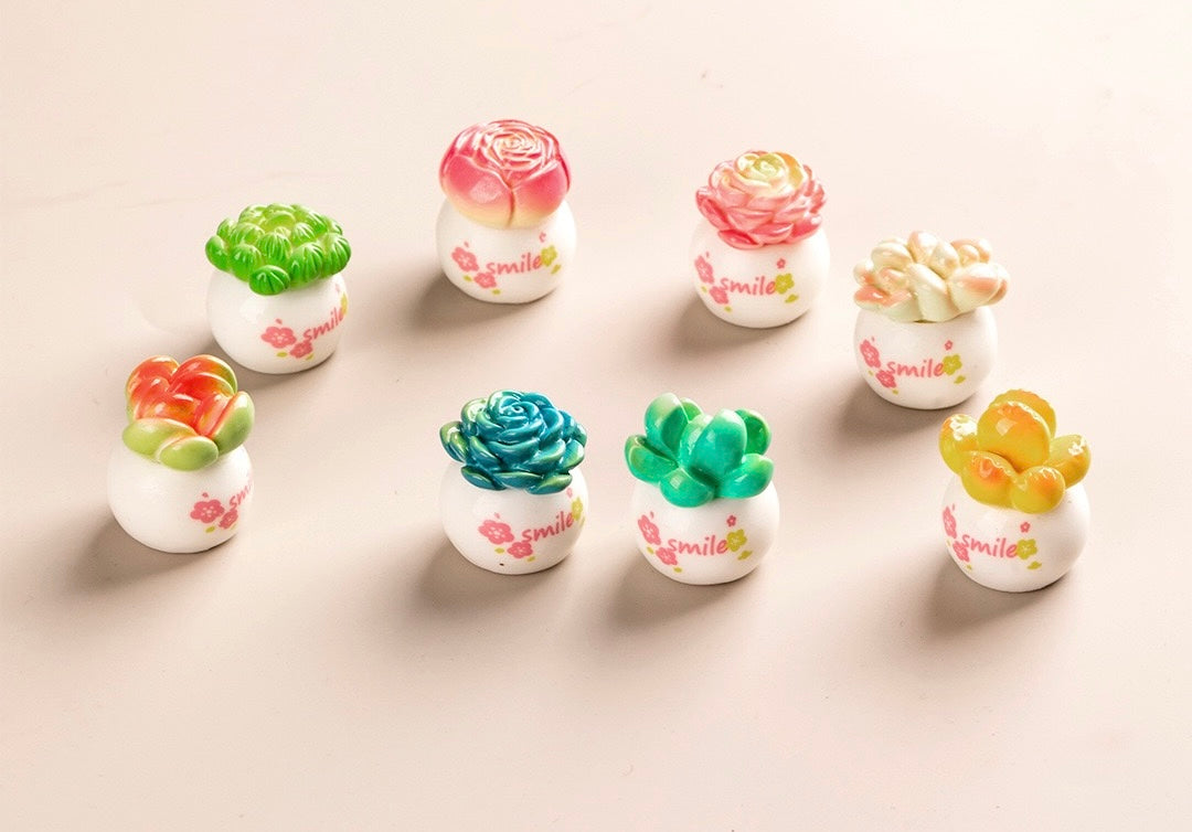 多肉植物の鉢植え