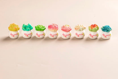 多肉植物の鉢植え